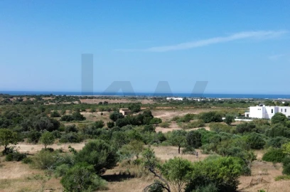 Terreno para Venda em Silves