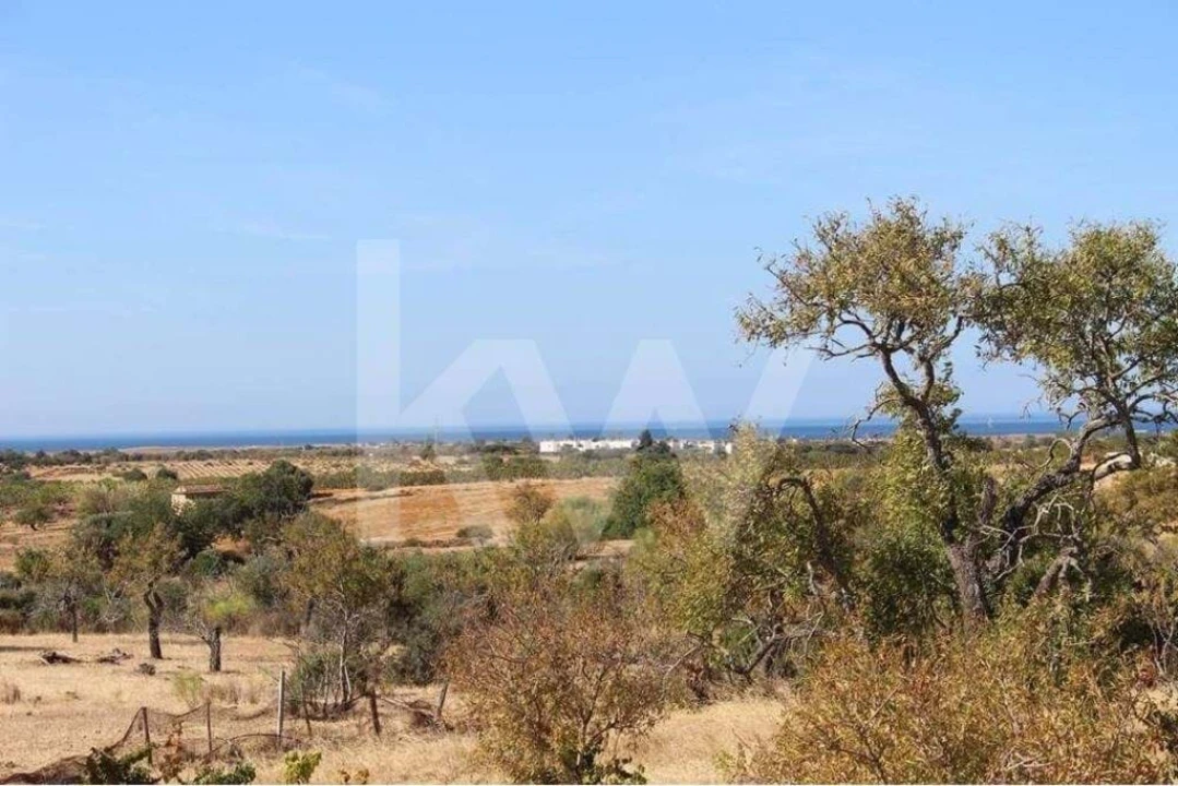 Terreno para Venda em Silves Foto 1