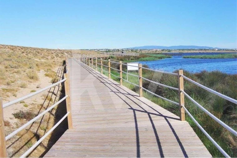 Terreno para Venda em Silves Foto 30