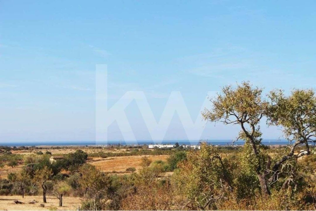 Terreno para Venda em Silves Foto 6