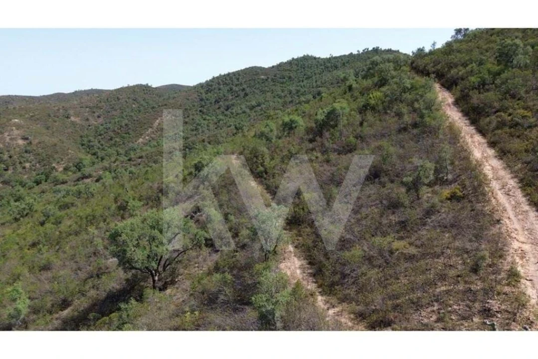 Terreno para Venda em São Marcos da Serra Foto 3