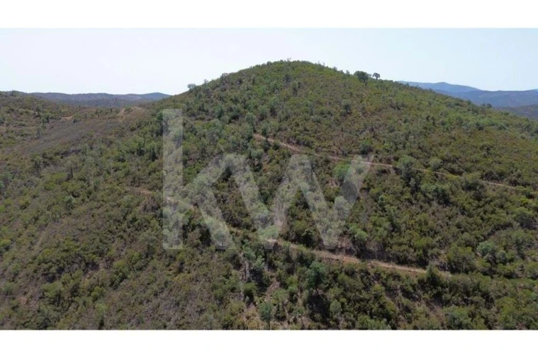 Terreno para Venda em São Marcos da Serra Foto 13