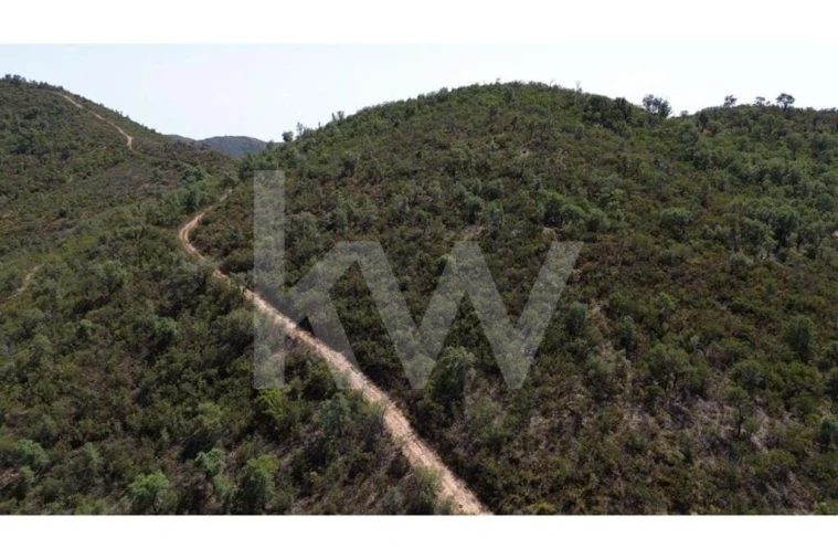 Terreno para Venda em São Marcos da Serra Foto 7