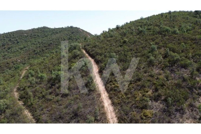 Terreno para Venda em São Marcos da Serra Foto 5