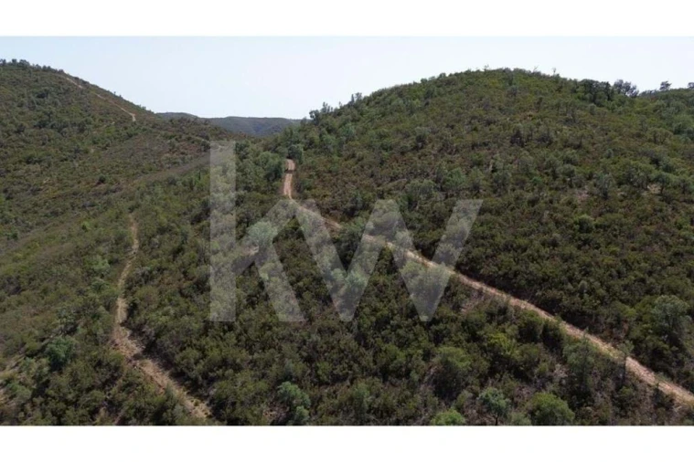 Terreno para Venda em São Marcos da Serra Foto 8