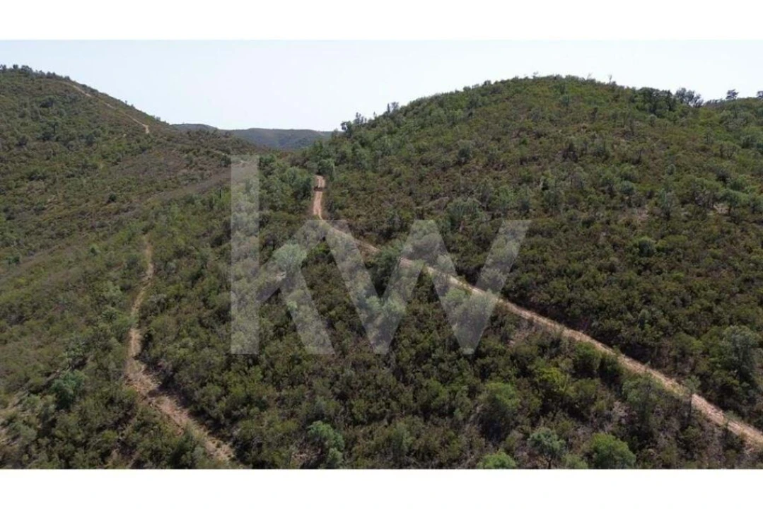 Terreno para Venda em São Marcos da Serra Foto 9