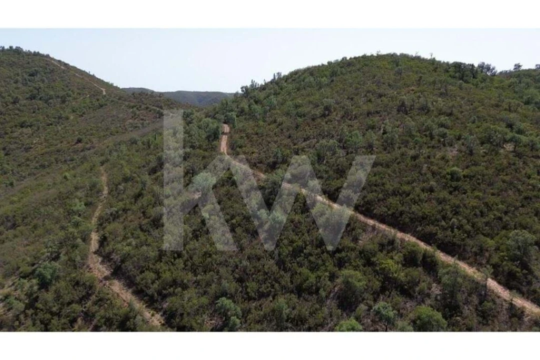 Terreno para Venda em São Marcos da Serra Foto 8