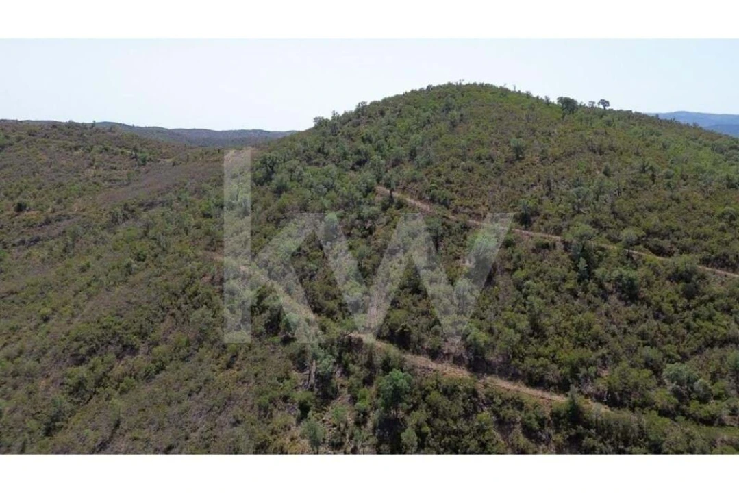 Terreno para Venda em São Marcos da Serra Foto 11