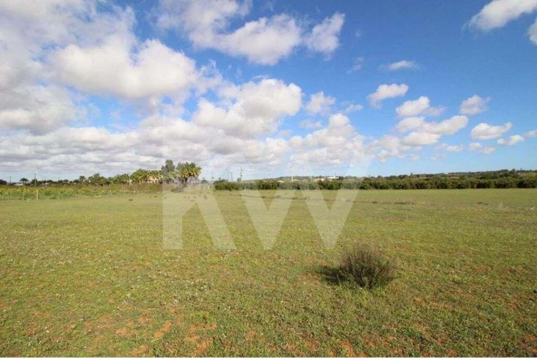Terreno para Venda em São Silvestre Foto 16