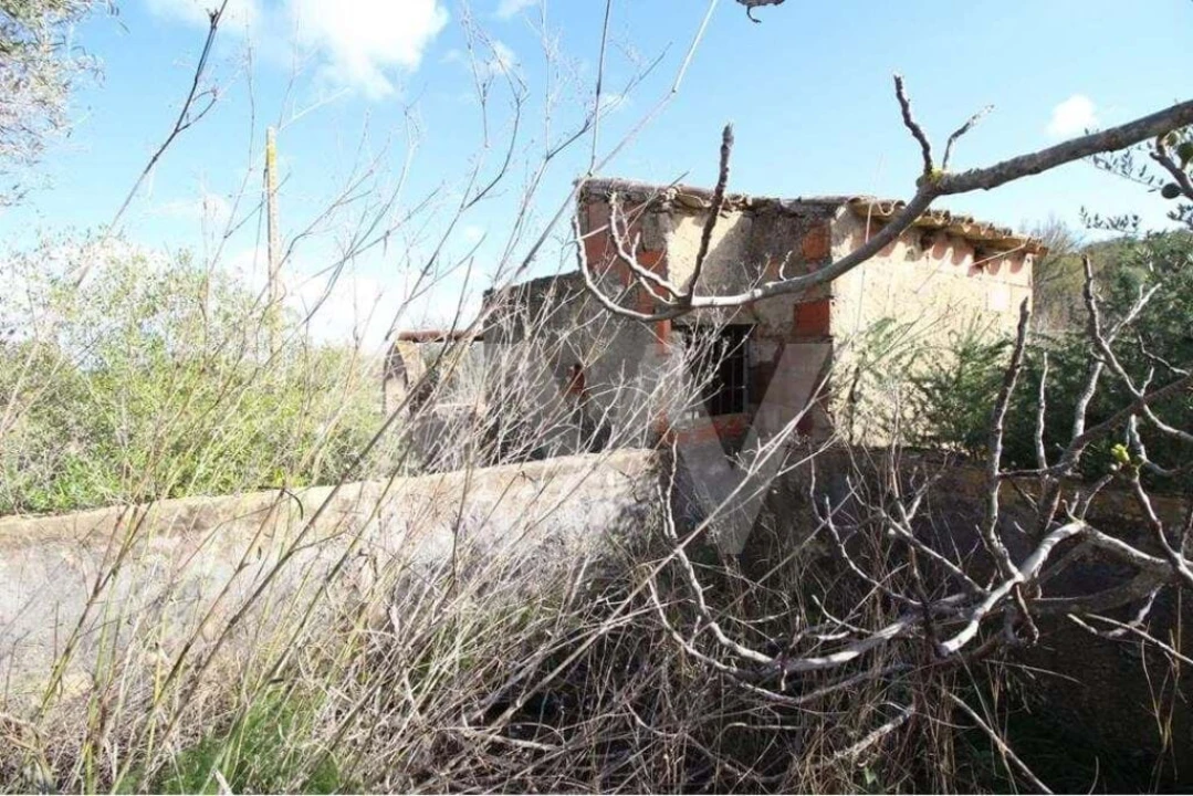 Terreno para Venda em São Silvestre Foto 9