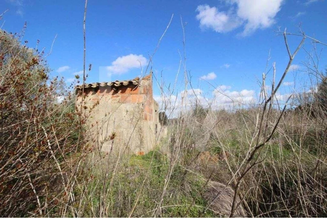 Terreno para Venda em São Silvestre Foto 12