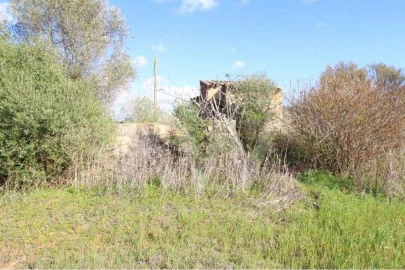 Terreno para Venda em Silves