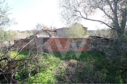 Terreno para Venda em Silves