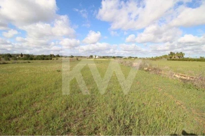 Terreno para Venda em Silves