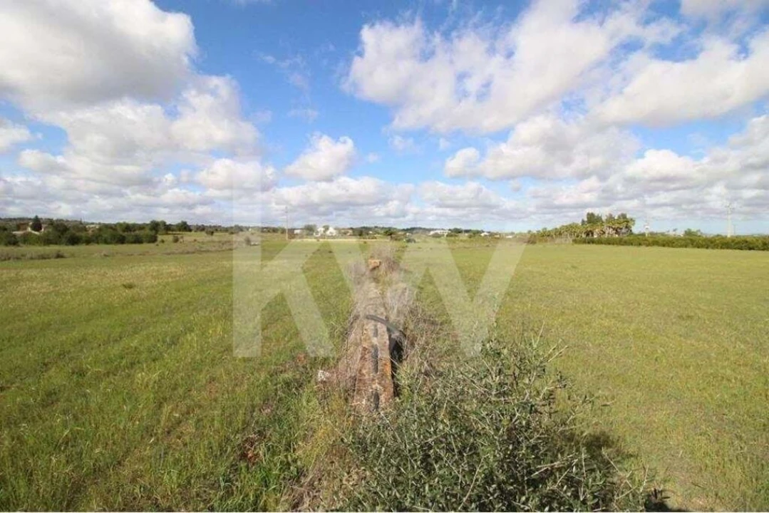 Terreno para Venda em São Silvestre Foto 17