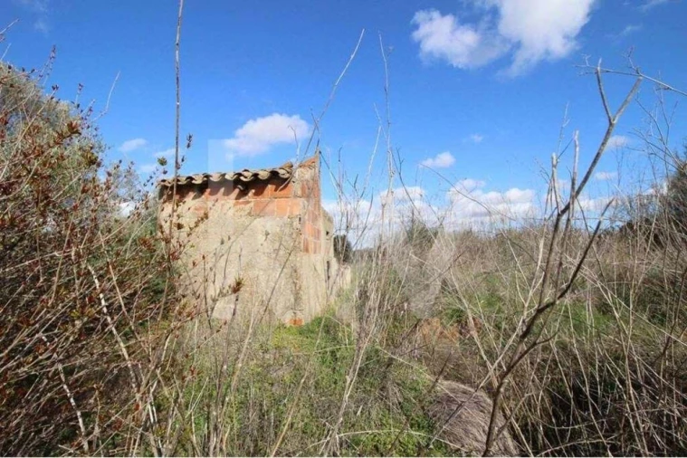 Terreno para Venda em São Silvestre Foto 12