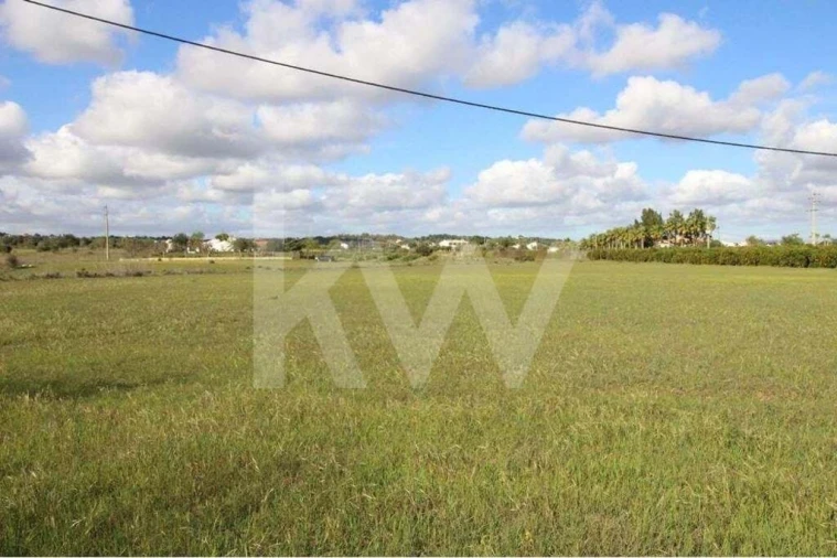 Terreno para Venda em São Silvestre Foto 22