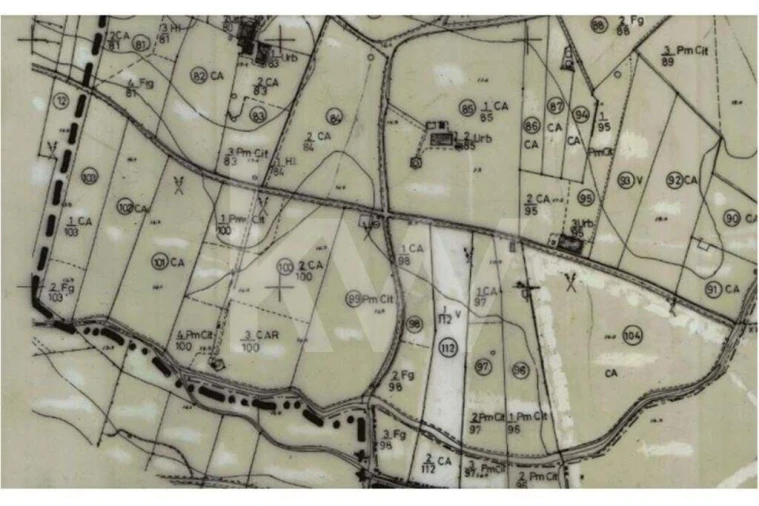 Terreno para Venda em São Silvestre Foto 27