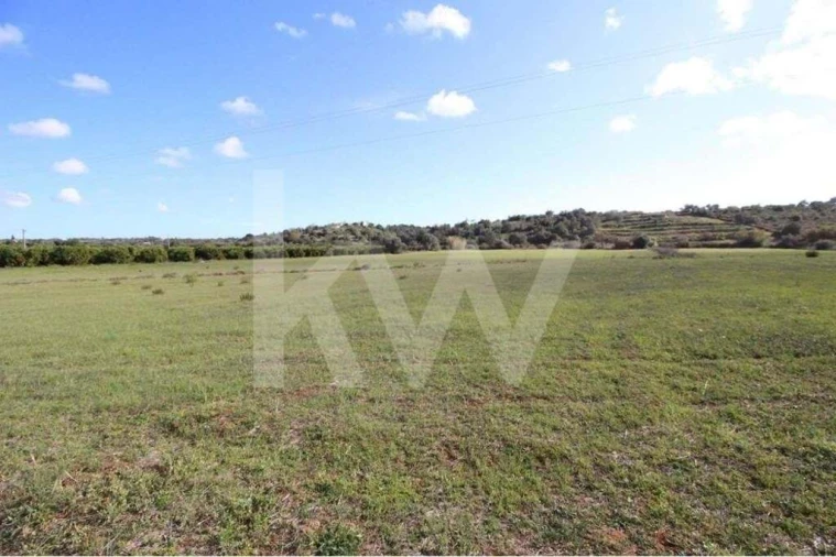 Terreno para Venda em São Silvestre Foto 24