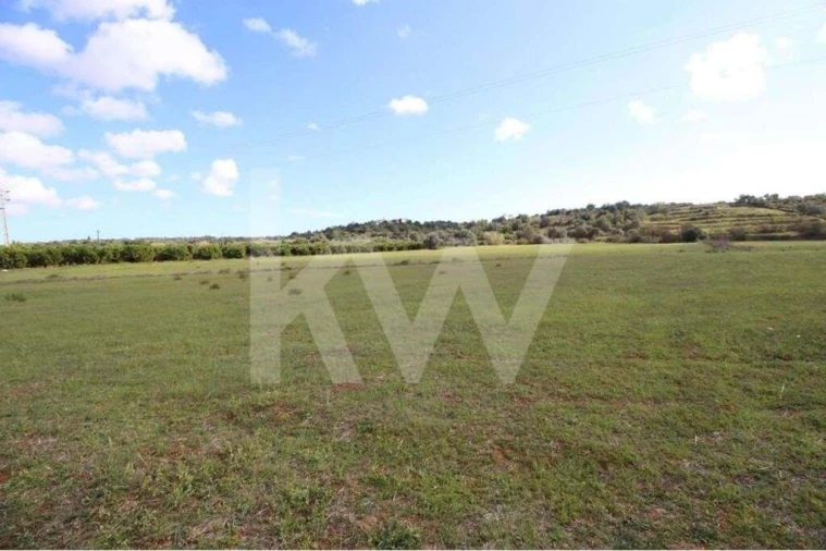 Terreno para Venda em São Silvestre Foto 3