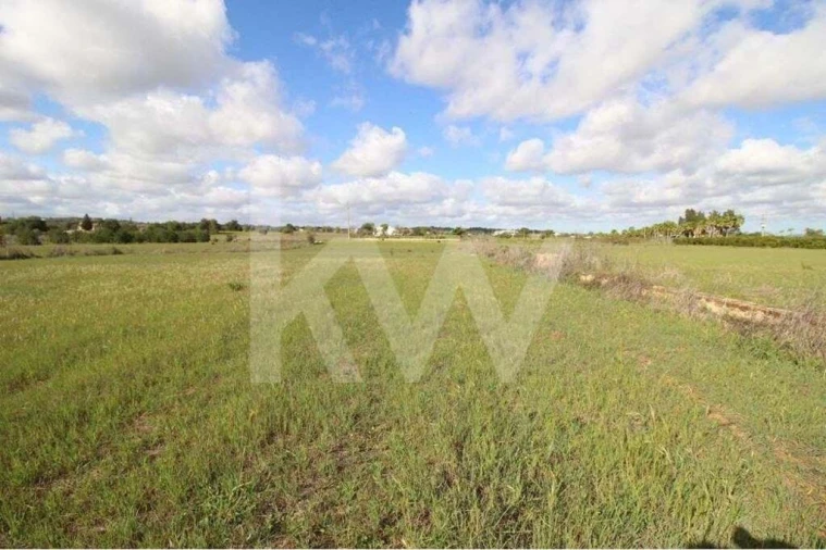 Terreno para Venda em São Silvestre Foto 4