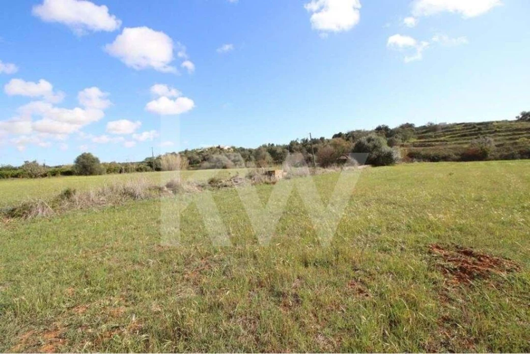 Terreno para Venda em São Silvestre Foto 5