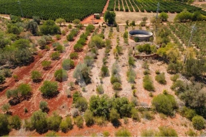 Terreno para Venda em São Bartolomeu de Messines