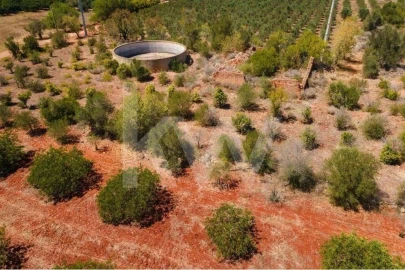 Terreno para Venda em São Bartolomeu de Messines