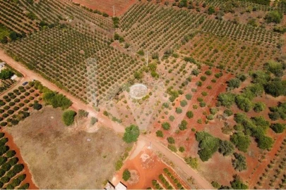 Terreno para Venda em São Bartolomeu de Messines