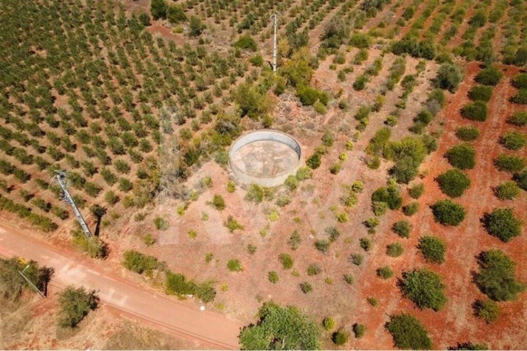 Terreno para Venda em São Bartolomeu de Messines Foto 4
