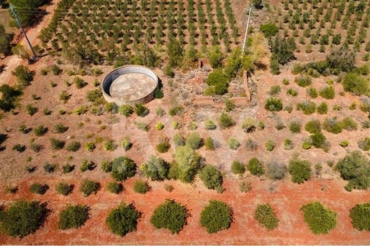 Terreno para Venda em São Bartolomeu de Messines Foto 9