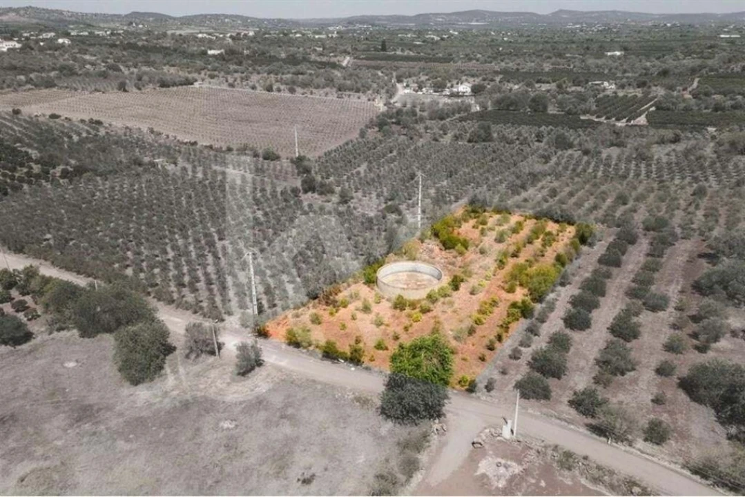 Terreno para Venda em São Bartolomeu de Messines Foto 1