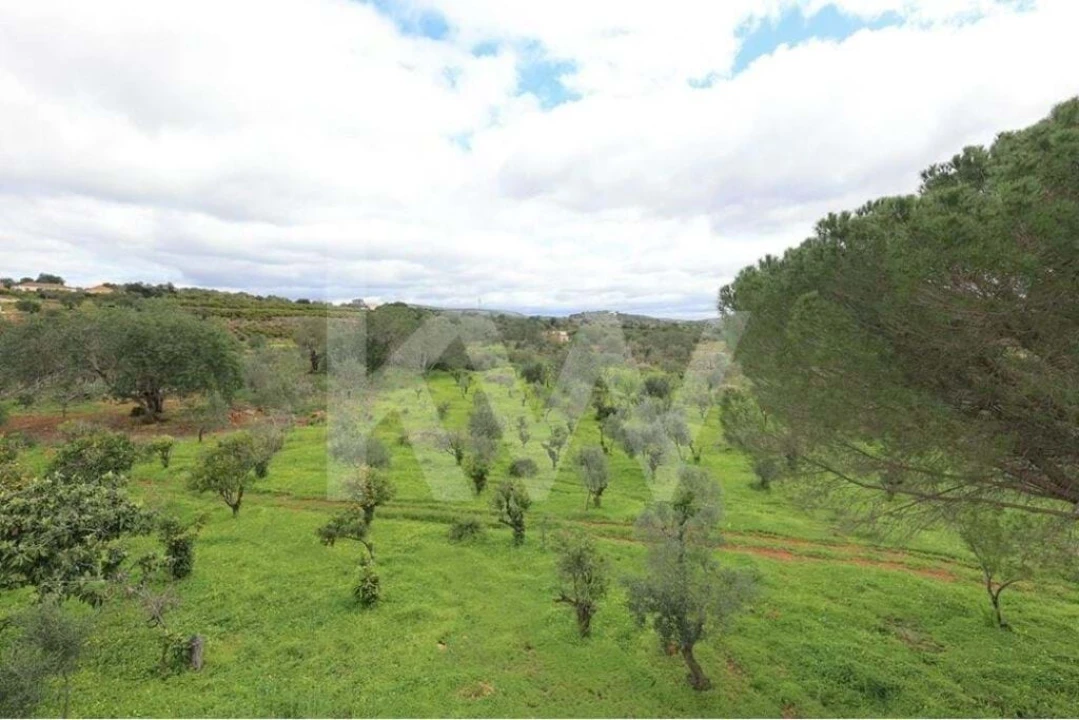 Quinta T5 para Venda em São Bartolomeu de Messines Foto 15