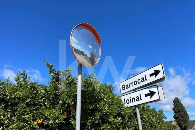 Quinta T5 para Venda em São Bartolomeu de Messines Foto 5