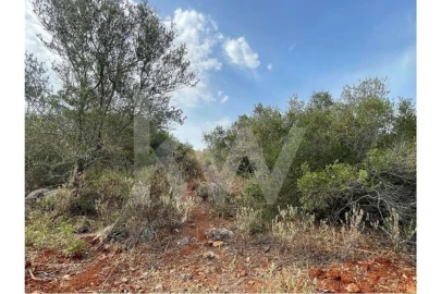 Terreno para Venda em São Bartolomeu de Messines