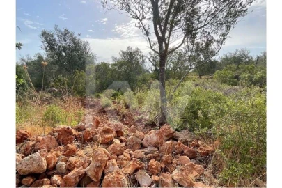 Terreno para Venda em São Bartolomeu de Messines