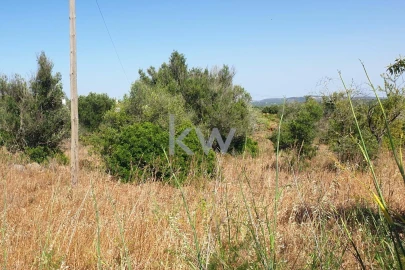 Terreno para Venda em São Bartolomeu de Messines