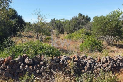 Terreno para Venda em São Bartolomeu de Messines