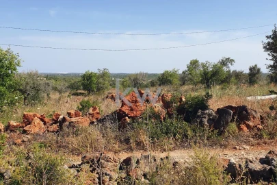 Terreno para Venda em São Bartolomeu de Messines