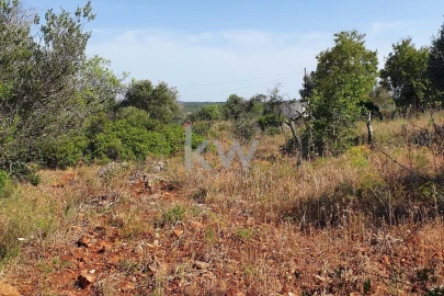 Terreno para Venda em São Bartolomeu de Messines