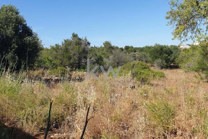 Terreno para Venda em São Bartolomeu de Messines