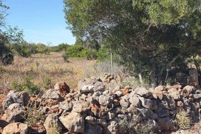 Terreno para Venda em São Bartolomeu de Messines