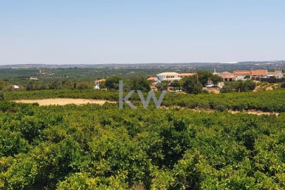 Terreno para Venda em São Bartolomeu de Messines
