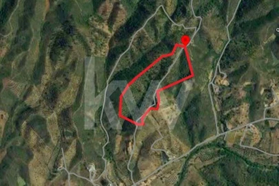 Terreno para Venda em São Bartolomeu de Messines