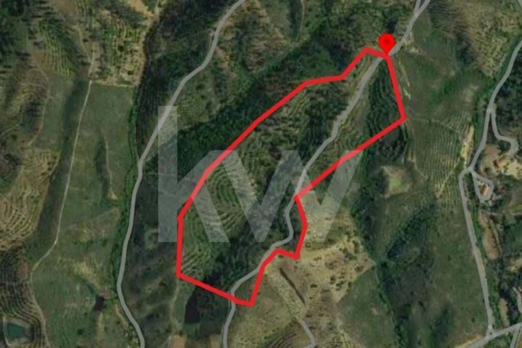 Terreno para Venda em São Bartolomeu de Messines Foto 2