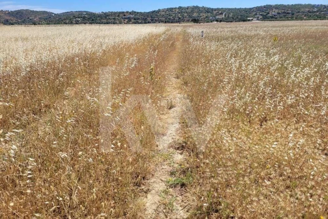 Terreno para Venda em Silves Foto 7