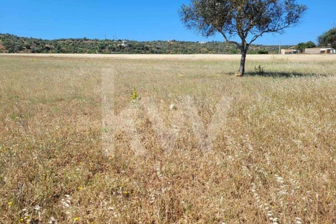 Terreno para Venda em Silves Foto 11