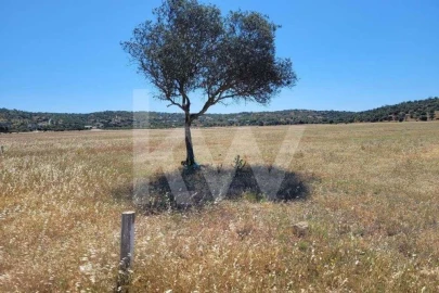 Terreno para Venda em Silves