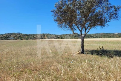 Terreno para Venda em Silves