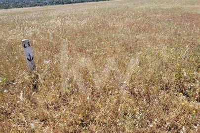 Terreno para Venda em Silves